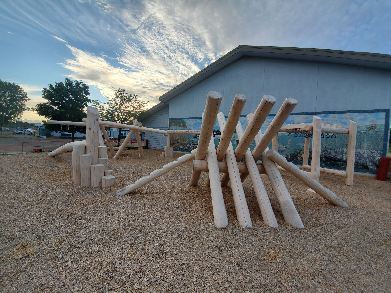 CedarTech TimberScape Playgrounds