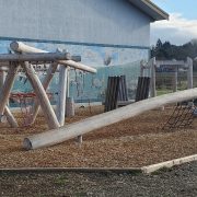 Cowichan_Valley_20210325_090237_resized